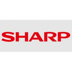 Sharp DUNTKE208FM01 (KE208, QPWBNE208WJZZ) Terminal Board