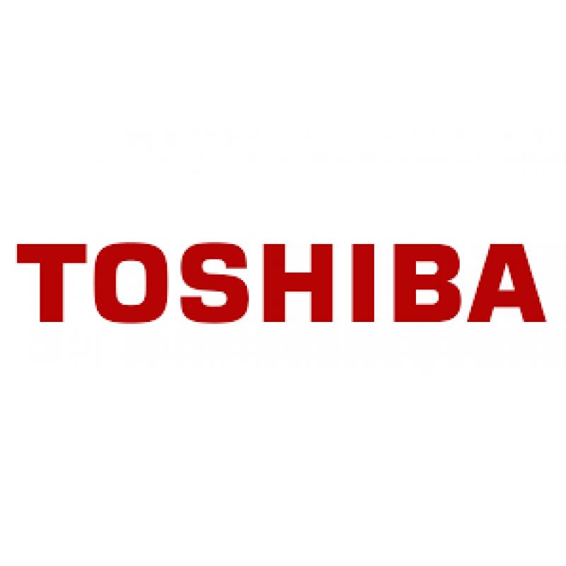 Toshiba L45-S7409 Hinges R & L